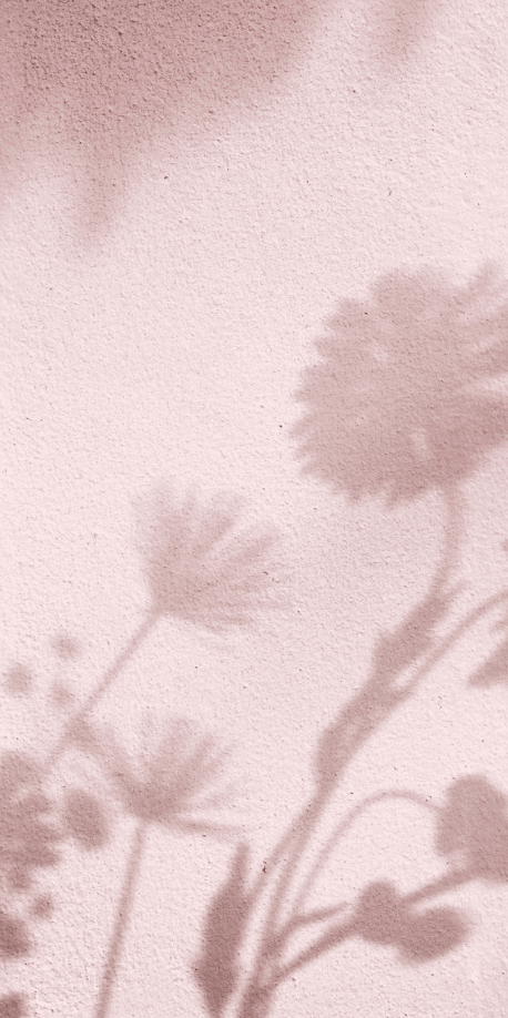 The branding essence is captured in the shadows of flowers dancing gracefully on a textured, pinkish background.