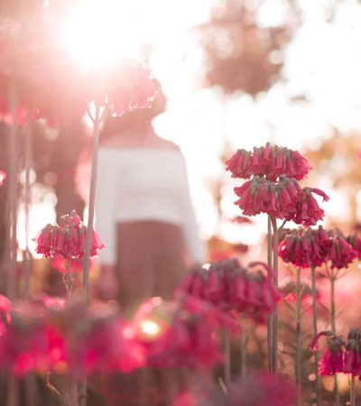 In a sunlit, blurry background, a person stands among pink flowers, embodying brand clarity through the harmonious blend of nature and identity.